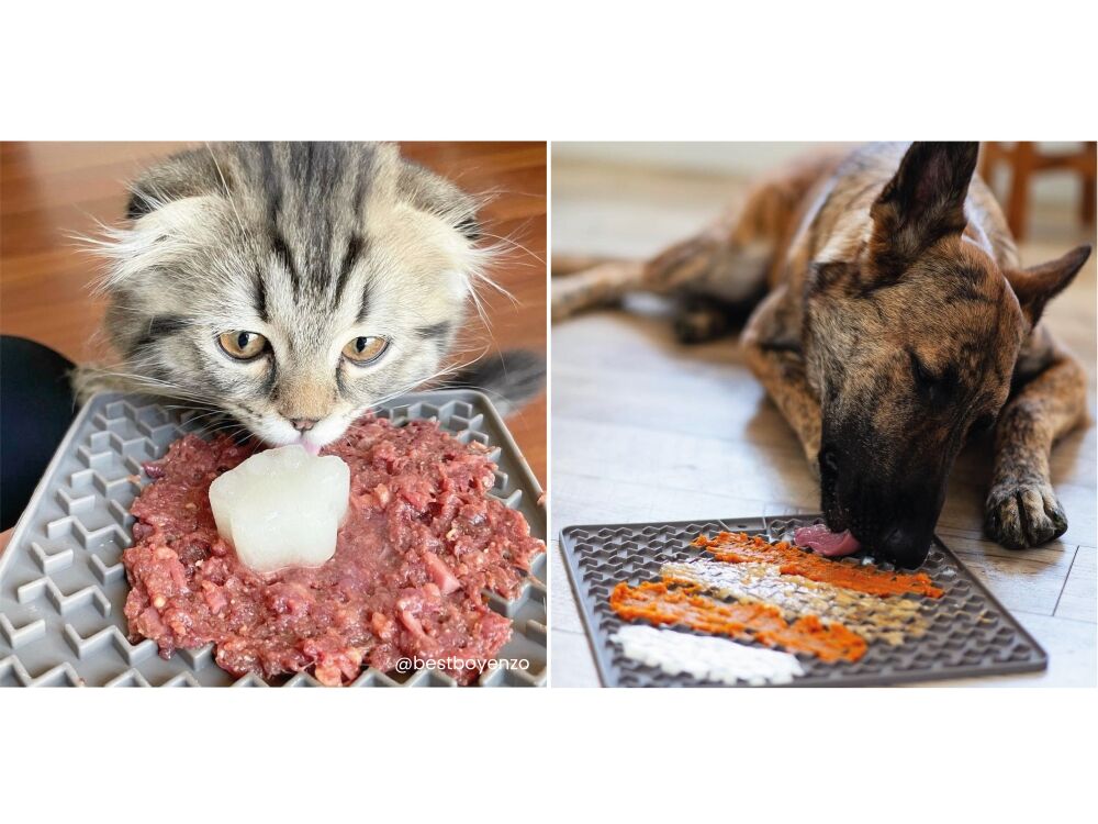 A cat and dog licking their food off a Lickimat